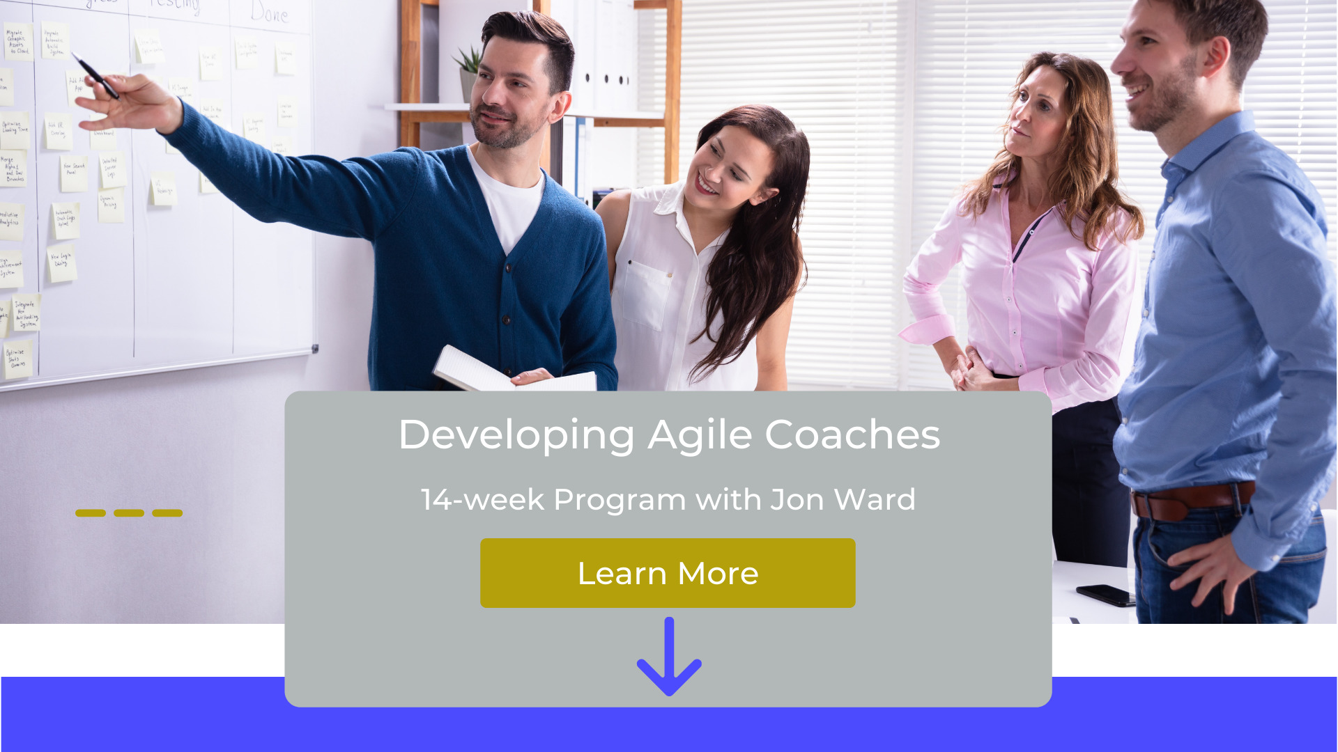 14-Week Program - Developing Agile Coaches